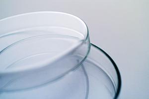 旅行や出張先で安心の旅行透析