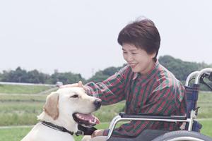 小牧市で評判の良い内科を利用しよう