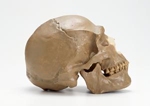 山口市の審美歯科で矯正治療をしよう