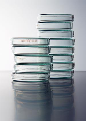 京都男性不妊症対策のクリニック