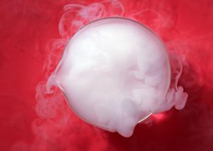 最新技術を活用!胃腸の健康管理と内視鏡検査のポイント徹底解説