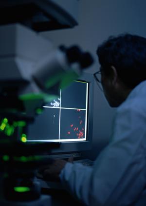 大和市で歯医者選びをしっかりしよう