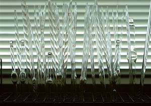 小平市の歯医者で歯周病の悩みを解消